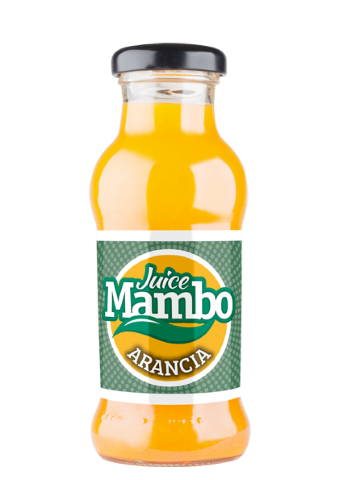 Succo di frutta Mambo gusto Arancia  cl. 20x 24